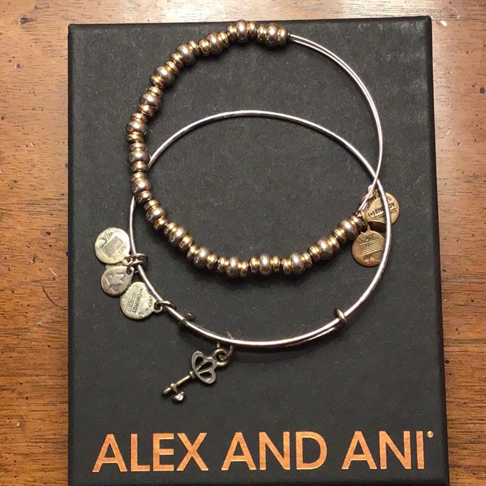 Alex and Ani bracelets set of two